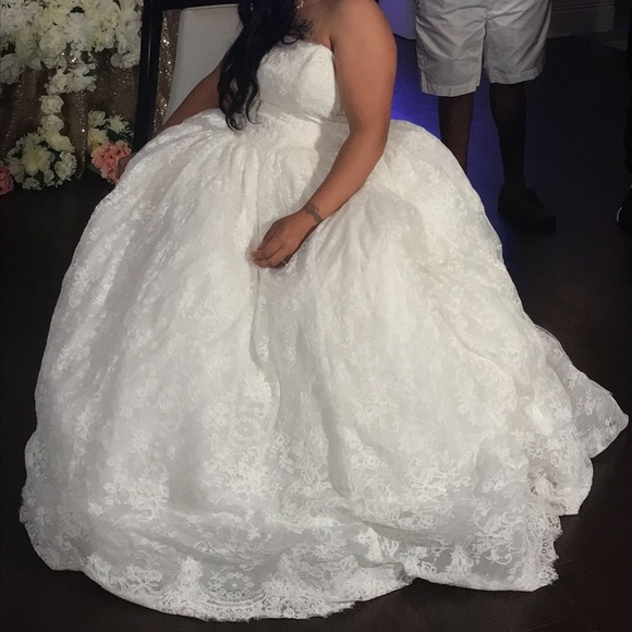 White by Vera Wang Corded Lace Wedding Dress - Picture 5 of 5